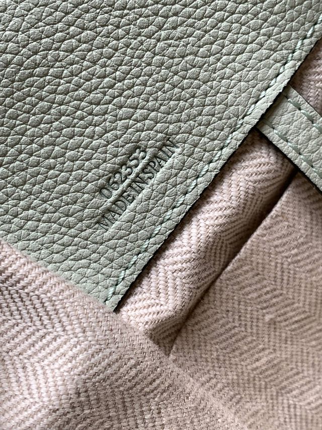 Loewe original grained calfskin small hammock bag A538H13 light green