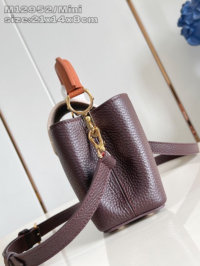 Louis vuitton original calfskin capucines mini handbag M22606 burgundy