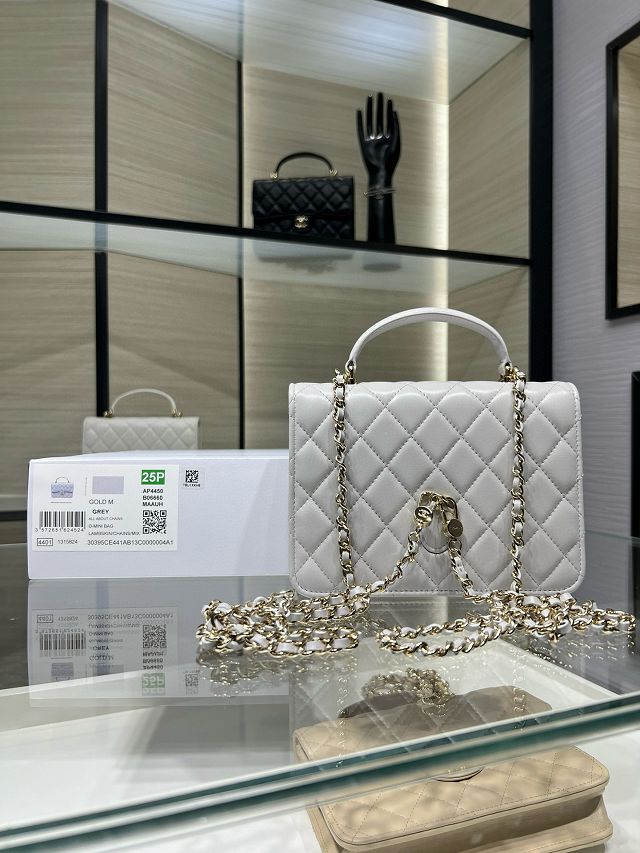 CC original lambskin mini backpack AP4450 grey