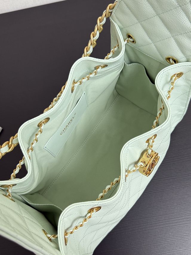 CC original grained calfskin 25 small handbag AS5293 light green