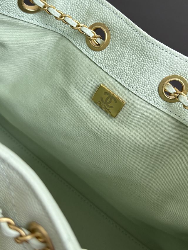 CC original grained calfskin 25 small handbag AS5293 light green