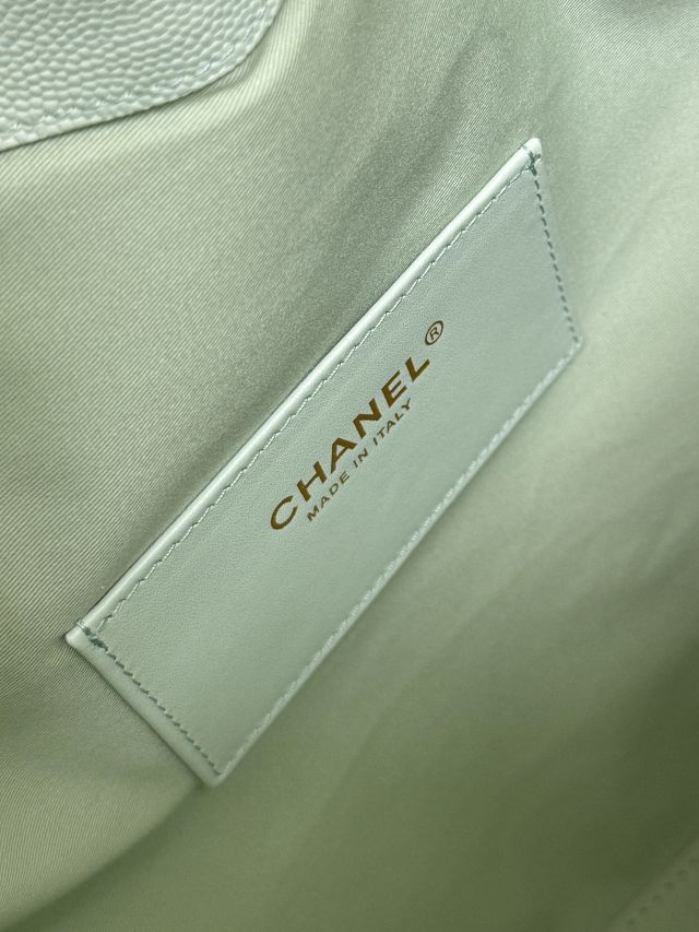 CC original grained calfskin 25 medium handbag AS5311 light green
