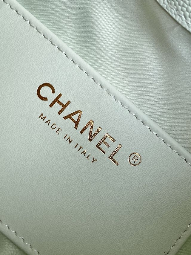 CC original grained calfskin 25 mini handbag AS5631 light green