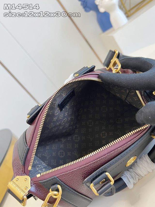 Louis vuitton original calfskin LV biker PM M14514 mahogany