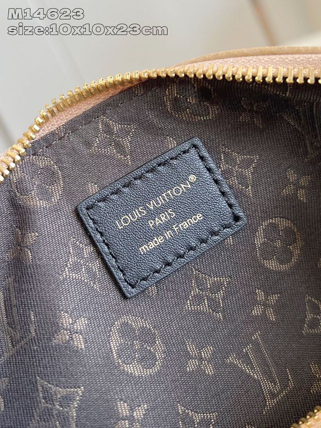 Louis vuitton original calfskin nano LV biker M14623 arizona