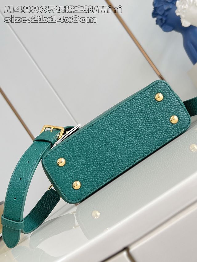 Louis vuitton original calfskin capucines mini handbag N85517 green