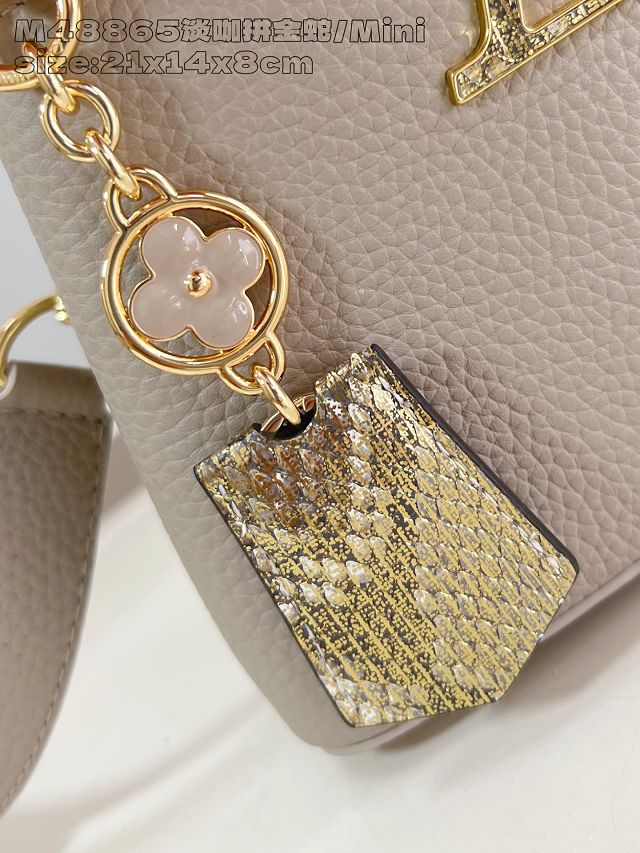 Louis vuitton original calfskin capucines mini handbag N85517 grey