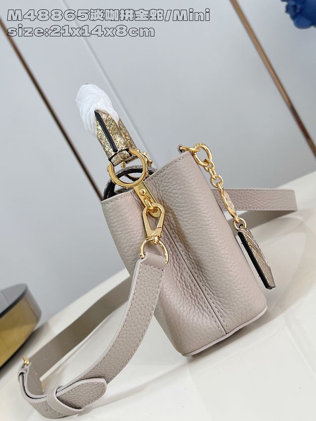 Louis vuitton original calfskin capucines mini handbag N85517 grey