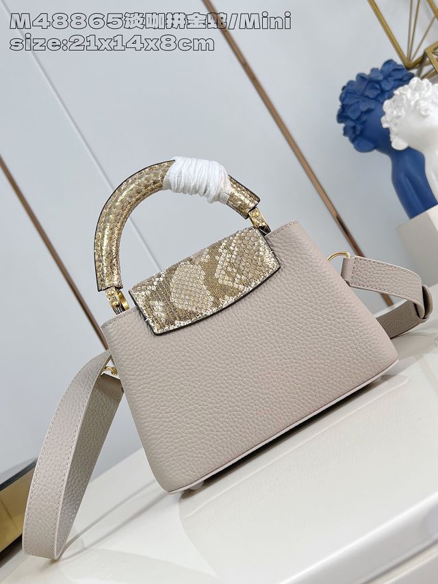 Louis vuitton original calfskin capucines mini handbag N85517 grey