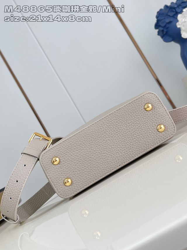 Louis vuitton original calfskin capucines mini handbag N85517 grey