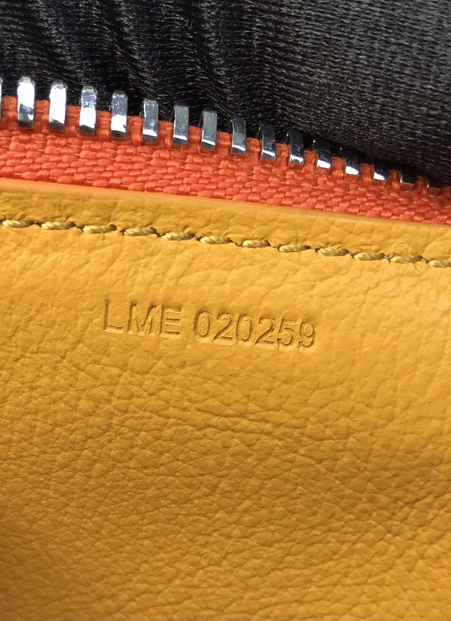Goyard original canvas bonbonniere bag GY0144 orange