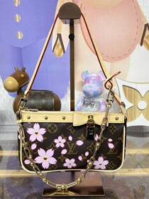 Louis vuitton original multicolored canvas TM pochette accessoires M13666 