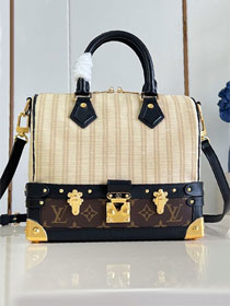 Louis vuitton original monogram canvas speedy 20 M28761